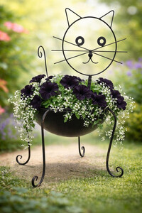 Sun Jun 14  Le Chat Noir 260614131